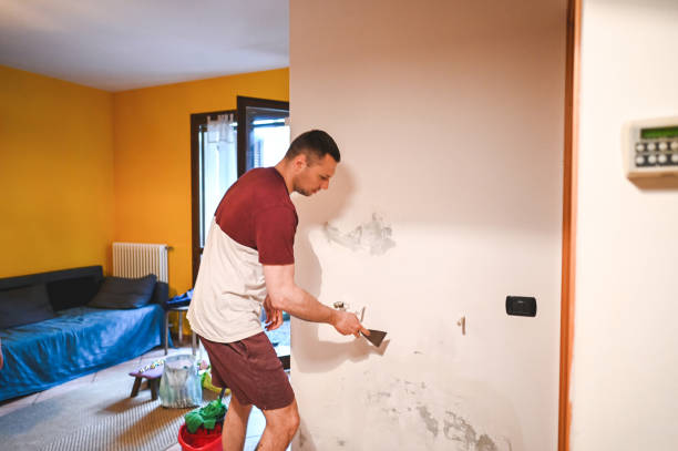 Best Toxic Mold Removal  in Hernando, MS